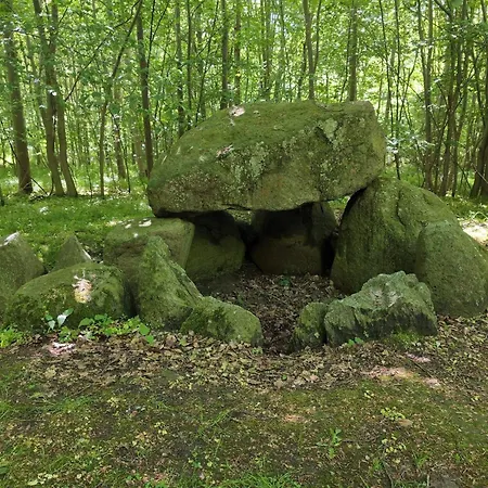 6 Person In Praesto-by Traum *