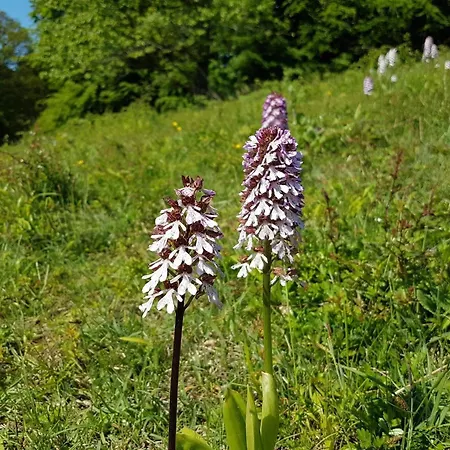 6 Person In Praesto-by Traum