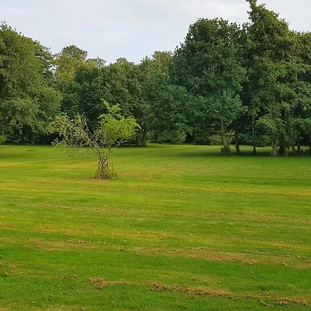 6 Person In Praesto-by Traum