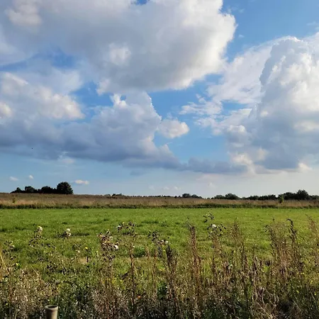 6 Person In Praesto-by Traum 펜션