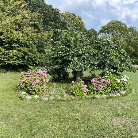 6 Person In Praesto-by Traum