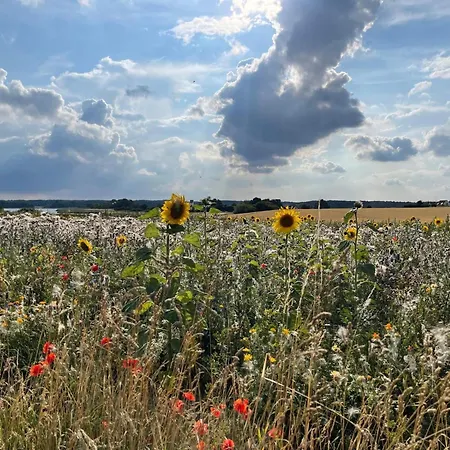 6 Person In Praesto-by Traum *