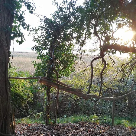 6 Person In Praesto-by Traum Togeholt